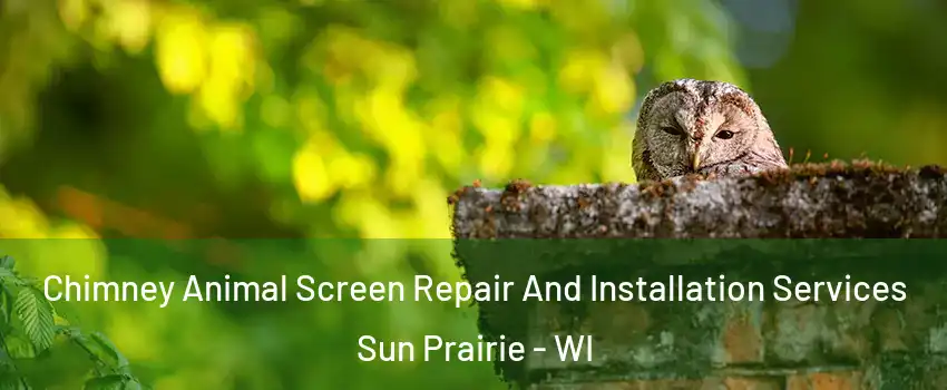 Chimney Animal Screen Repair And Installation Services Sun Prairie - WI