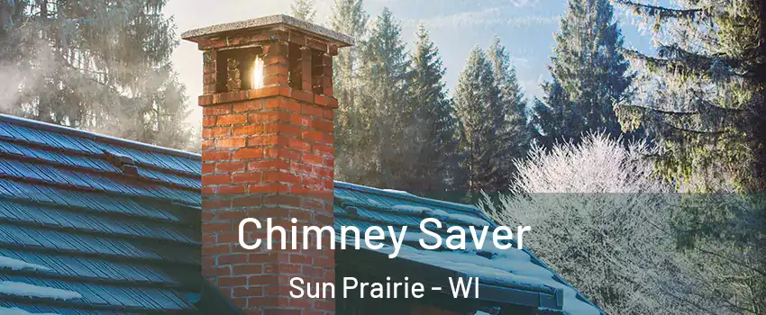  Chimney Saver Sun Prairie - WI