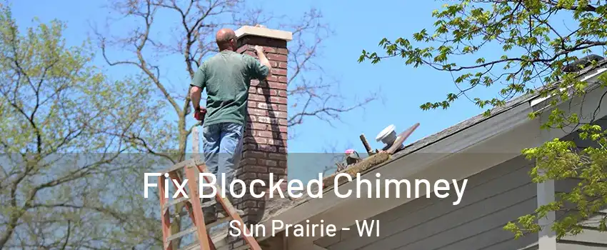  Fix Blocked Chimney Sun Prairie - WI